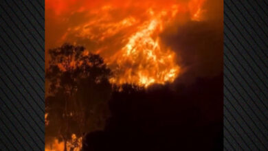 Κόλαση-φωτιάς-στη-Σικελία,-άνιση-μάχη-με-τις-φλόγες-δίνουν-οι-πυροσβέστες,-δείτε-βίντεο