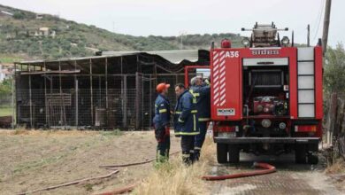 Συνελήφθη-43χρονος-για-πυρκαγιά-από-αμέλεια-στο-Αγρίνιο,-του-επιβλήθηκε-πρόστιμο-1640-ευρώ