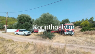 Έσβησε-η-φωτιά-στην-Περαχώρα-Λουτρακίου-στη-λίμνη-Βουλιαγμένης