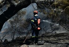Συνελήφθη-27χρονος-που-προκάλεσε-φωτιά-στο-Κορωπί-από-ρευματοκλοπή