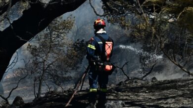 Συνελήφθη-27χρονος-που-προκάλεσε-φωτιά-στο-Κορωπί-από-ρευματοκλοπή