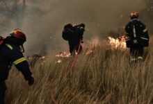 Υπό-έλεγχο-φωτιά-στους-Λογγάδες-Ιωαννίνων