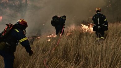 Υπό-έλεγχο-φωτιά-στους-Λογγάδες-Ιωαννίνων