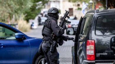 Μεγάλη-αστυνομική-επιχείρηση-στην-Κρήτη,-συλλήψεις-για-ζωοκλοπές,-εκβιασμούς-και-απάτες