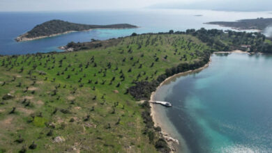 Πόσο-οικολογικό-είναι το-5άστερο-ξενοδοχείο στο-νησάκι-Διάπορος-της-Χαλκιδικής;