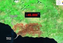Φωτιά-στο-Ρέθυμνο:-Περίπου-45.000-στρέμματα-κάηκαν-την-Τετάρτη-και-Πέμπτη