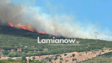 Φωτιά-στην-Καμηλόβρυση-Λαμίας,-επιχειρούν-4-εναέρια