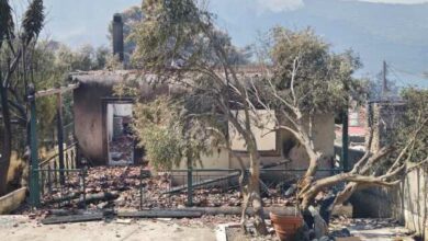 «Έχουν-καεί-πάνω-από-100-σπίτια-στο-Πόρτο-Γερμενό»,-είπε-ο-αντιδήμαρχος-Μάνδρας