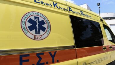 Αδέσποτος-σκύλος-επιτέθηκε-και-τραυμάτισε-λουόμενους-σε-παραλία-στην-Εύβοια