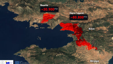 meteo:-Πάνω-από-111.000-στρέμματα-καμένα-στις-πυρκαγιές-σε-Βοιωτία-και-Αττική