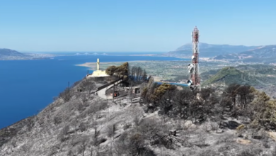 drone-κατέγραψε-την-καταστροφή-που-άφησε-πίσω-της-η-φωτιά-στη-Φωκίδα