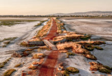 Η-ξηρασία-«στεγνώνει»-τον-υδροβιότοπο-Καλοχωρίου,-δείτε-εικόνες