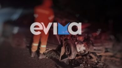 Τροχαίο-στην-Εύβοια:-Απεγκλωβίστηκε-80χρονη-μετά-από-πρόσκρουση-σε-δέντρο