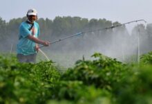 myagro:-Νέα-εποχή-διασταυρώσεων-από-την-ΑΑΔΕ-για-τις-ενισχύσεις-των-αγροτών