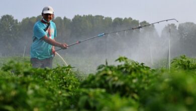myagro:-Νέα-εποχή-διασταυρώσεων-από-την-ΑΑΔΕ-για-τις-ενισχύσεις-των-αγροτών