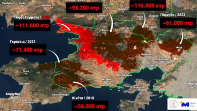 meteo:-Το-64%-των-δασών-της-Δυτικής-Αττικής-έχει-καεί-τα-τελευταία-10-χρόνια