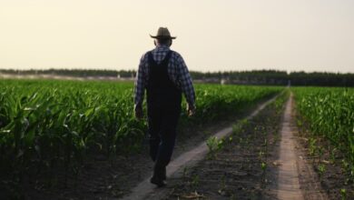 Κάρτα-Αγρότη:-Πώς-θα-ενεργοποιείται-ψηφιακά-από-τις-28-Αυγούστου