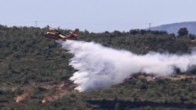 Φωτιά-στο-Αριοχώρι-Καλαμάτας,-επιχειρούν-δύο-αεροσκάφη