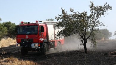 Πυροσβεστική:-44-πυρκαγιές-σε-ένα-24ωρο-–-Πρόστιμα-σε-Χίο,-Ηλεία,-Πιερία-και-Δράμα
