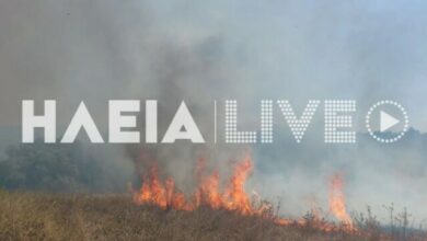 Καλύτερη-η-εικόνα-της-φωτιάς-στην-aγία-Μαρίνα-Ηλείας,-σηκώθηκαν-τρία-αεροσκάφη,-δείτε-φωτογραφίες