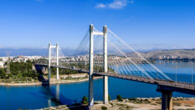 Στο-νοσοκομείο-30χρονη-μετά-από-πτώση-από-τη-γέφυρα-της-Χαλκίδας