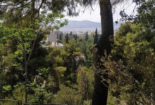 Κλείνει-τα-μεσάνυχτα-ο-λόφος-Φινόπουλου-στην-Αθήνα-λόγω-αυξημένου-κινδύνου-εκδήλωσης-πυρκαγιάς