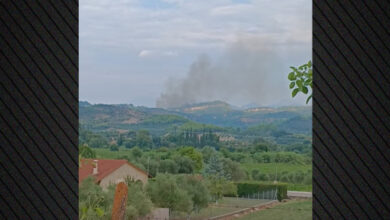 Φωτιά-τώρα-σε-δάσος-στο-Μουζάκι-Ηλείας,-σηκώθηκαν-τέσσερα-εναέρια,-δείτε-βίντεο