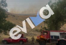 Φωτιά-τώρα-σε-χαμηλή-βλάστηση-έξω-από-τη-Χαλκίδα,-κινητοποίηση-της-Πυροσβεστικής,-δείτε-βίντεο