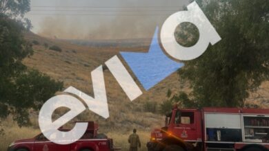 Φωτιά-τώρα-σε-χαμηλή-βλάστηση-έξω-από-τη-Χαλκίδα,-κινητοποίηση-της-Πυροσβεστικής,-δείτε-βίντεο