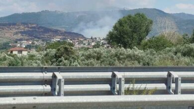 Οριοθετήθηκε-η-φωτιά-σε-δάσος-στο-Κομπότι-Άρτας
