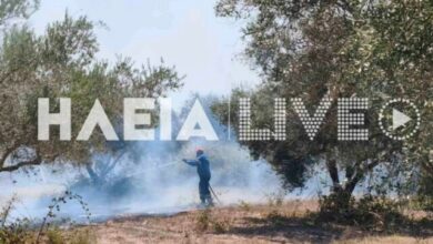 Οριοθετήθηκε-η-φωτιά-στο-Χάβαρι-Ηλείας
