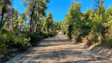 Σκέρτσος:-Το-πρόγραμμα-antinero-συνέβαλε-στον-περιορισμό-της-καταστροφής-από-τη-φωτιά-στη-Σίβηρη