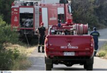 Φωτιά-στο-Βαθύκοιλο-Φθιώτιδας,-σηκώθηκαν-5-αεροσκάφη