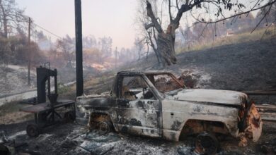Ο-Δήμος-Κασσάνδρας-ανέστειλε-λόγω-της-φωτιάς-όλες-τις-εκδηλώσεις-για-τον-Δεκαπενταύγουστο