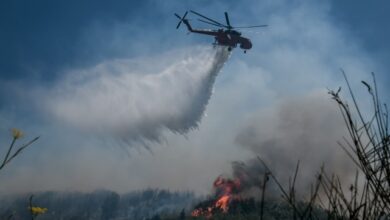 Φωτιά-στον-Λαχανά-Θεσσαλονίκης,-επιχειρούν-δύο-ελικόπτερα