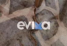 Αναστάτωση-σε-ταβέρνα-στην-Εύβοια-από-φίδι-που-περνούσε-κάτω-από-τα-τραπέζια,-δείτε-βίντεο