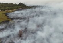 Βέλγιο:-Η-μεγάλη-δασική-πυρκαγιά-έκαψε-30.000-στρέμματα-και-κατευθύνεται-στη-Γερμανία