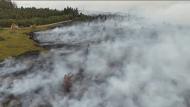 Βέλγιο:-Η-μεγάλη-δασική-πυρκαγιά-έκαψε-30.000-στρέμματα-και-κατευθύνεται-στη-Γερμανία