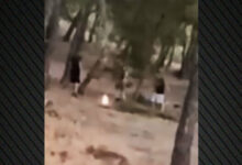 Εντοπίστηκαν-οι-13χρονοι-που-έπαιζαν-με-τη-φωτιά-μέσα-σε-δάσος-στην-Πεντέλη-για-ένα-challenge