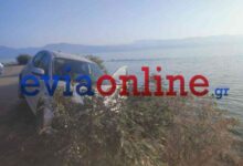 Νεαρός-στην-Εύβοια-έπεσε-σε-γκρεμό-15-μέτρων-μετά-από-τροχαίο,-δείτε-βίντεο-από-το-σημείο