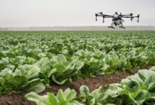 Η-ΕΕ-εξετάζει-τη-χρήση-drones-για-την-καταπολέμηση-των-παρασίτων-στη-γεωργία
