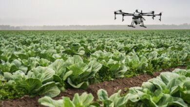 Η-ΕΕ-εξετάζει-τη-χρήση-drones-για-την-καταπολέμηση-των-παρασίτων-στη-γεωργία