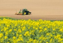 Ενισχύσεις-22-εκατ-ευρώ-σε-4.882-παραγωγούς,-ποιους-αφορούν-οι-πληρωμές