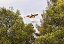 Φωτιά-τώρα-σε-δάσος-στο-Κατάφυτο-Νευροκοπίου-Δράμας,-επιχειρούν-τέσσερα-εναέρια