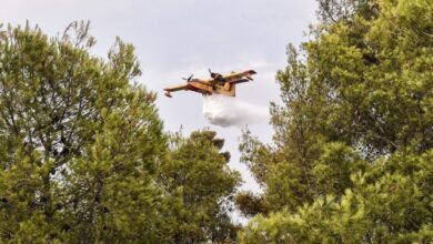 Φωτιά-τώρα-σε-δάσος-στο-Κατάφυτο-Νευροκοπίου-Δράμας,-επιχειρούν-τέσσερα-εναέρια