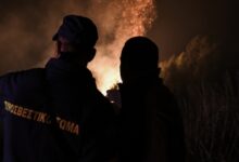 Φωτιά-σε-δασική-έκταση-κοντά-στο-καταφύγιο-της-Πρώτης-Σερρών
