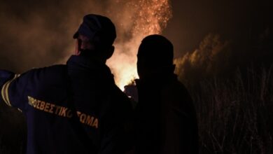 Φωτιά-σε-δασική-έκταση-κοντά-στο-καταφύγιο-της-Πρώτης-Σερρών