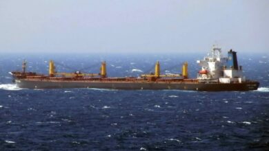 Τραγωδία-στον-Ινδικό:-Βυθίστηκε-bulk-carrier-με-24-ναυτικούς,-αγωνία-για-τους-22-αγνοουμένους