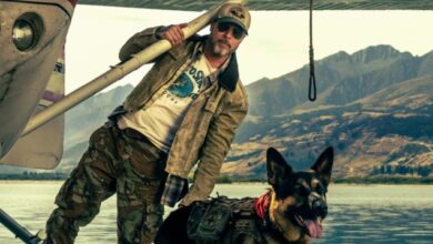 Μπραντ-Πιτ:-Η-ταινία-«heart-of-the-beast»-στο-πρόγραμμα-του-Φεστιβάλ-του-Σαν-Σεμπαστιάν