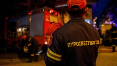 Φωτιά-τώρα-σε-δάσος-στην-Πρώτη-του-Δήμου-Αμφίπολης-Σερρών